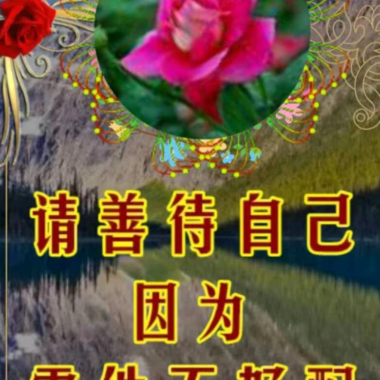 带刺的玫瑰