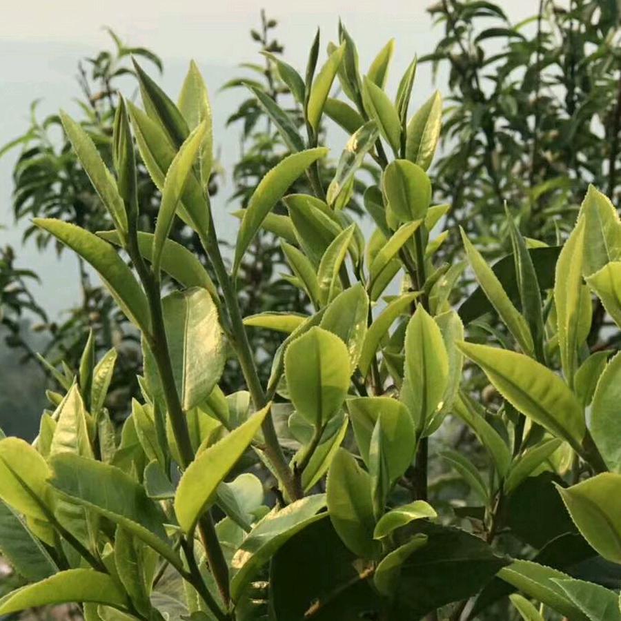 我爱自己跟着路走💝💝