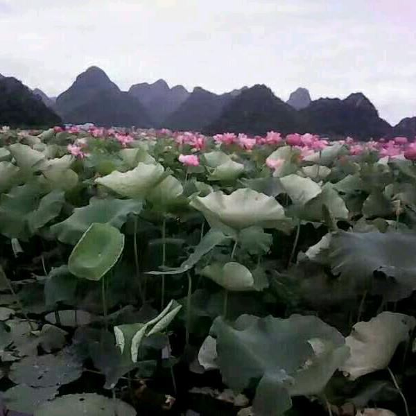 一生有你