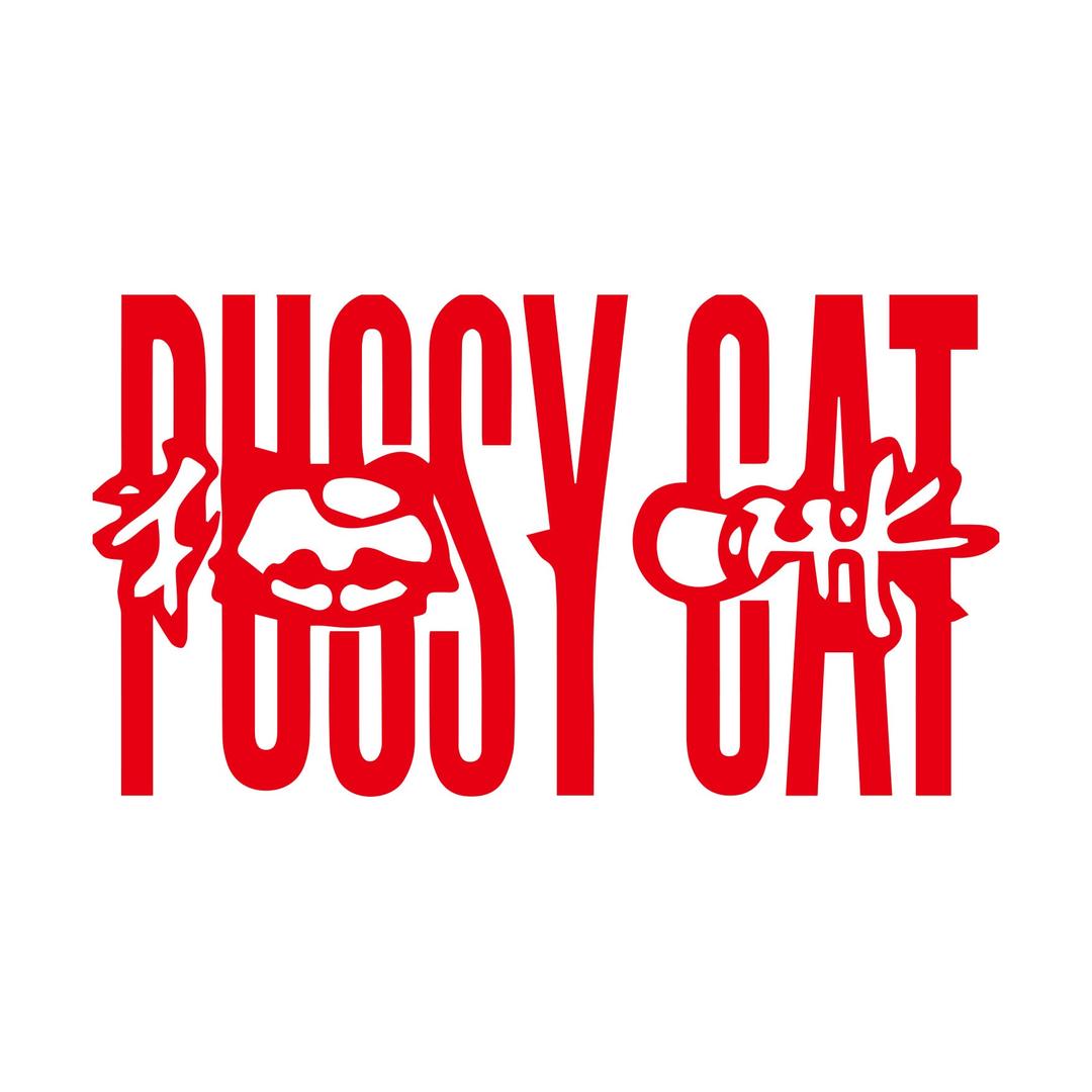 PUSSYCAT猫咪服饰