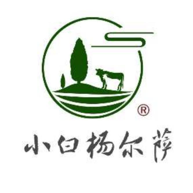 小白杨尔萨