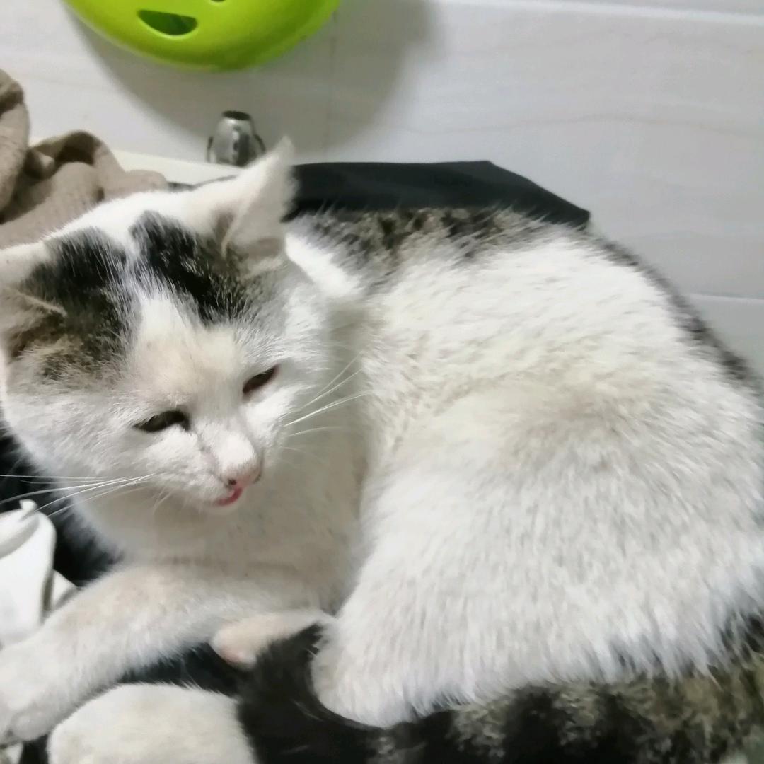 云