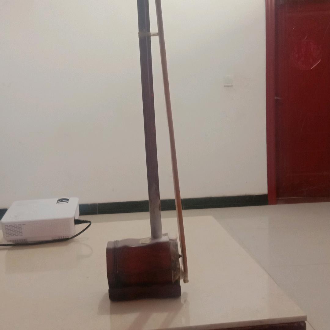 夜的梦想