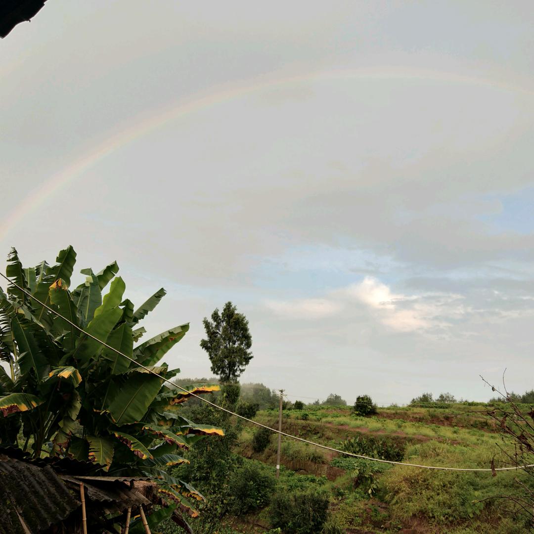 四妹（拒绝私聊，谢谢）