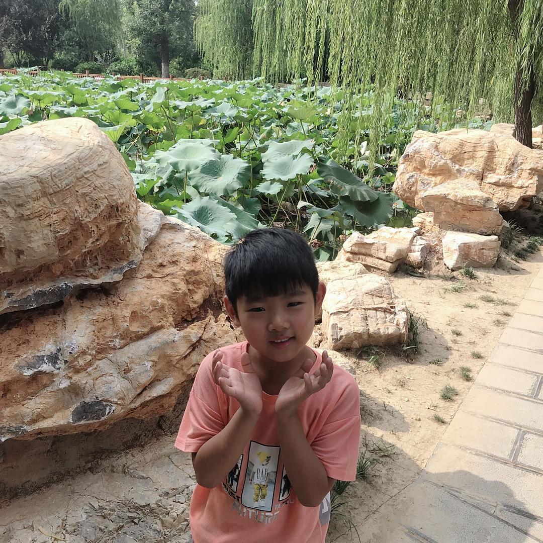 手机用户61552126401