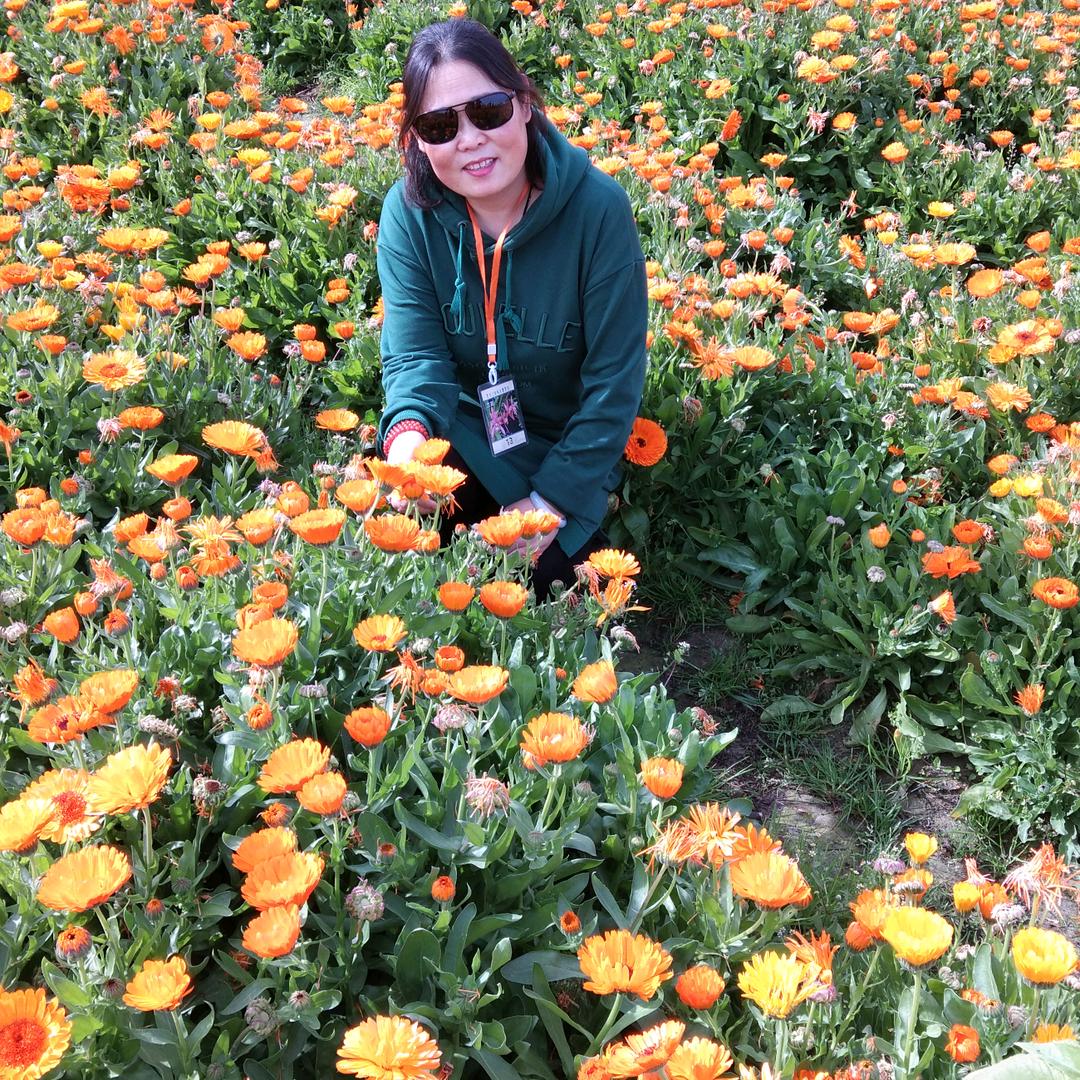 用户1859367524037一帆风顺