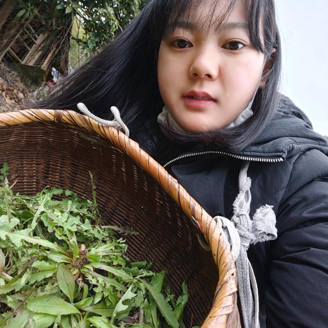 枫蝶永无缘