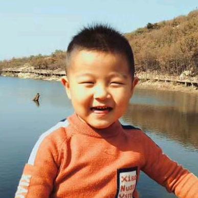 小韩（平顶山文君犬舍）