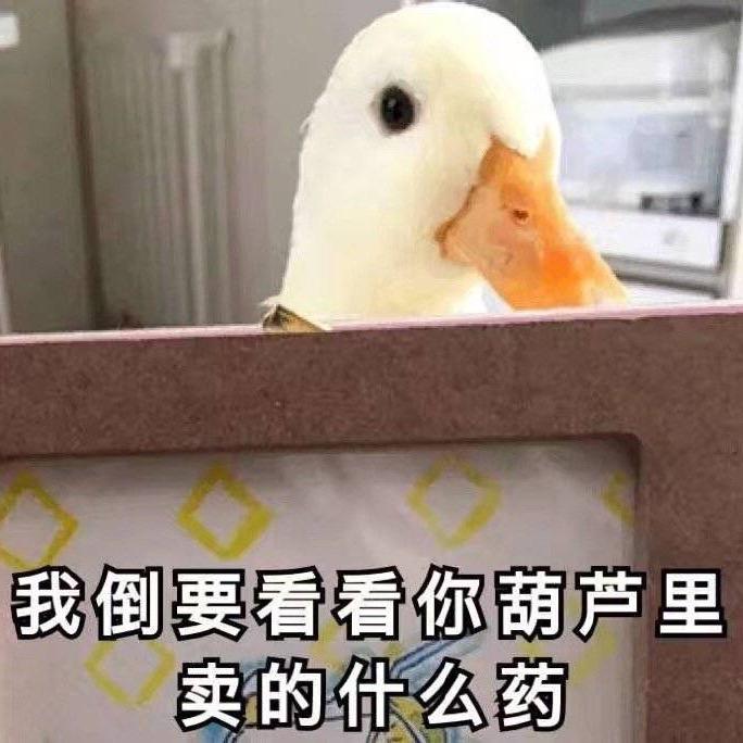 甜卷福🦄