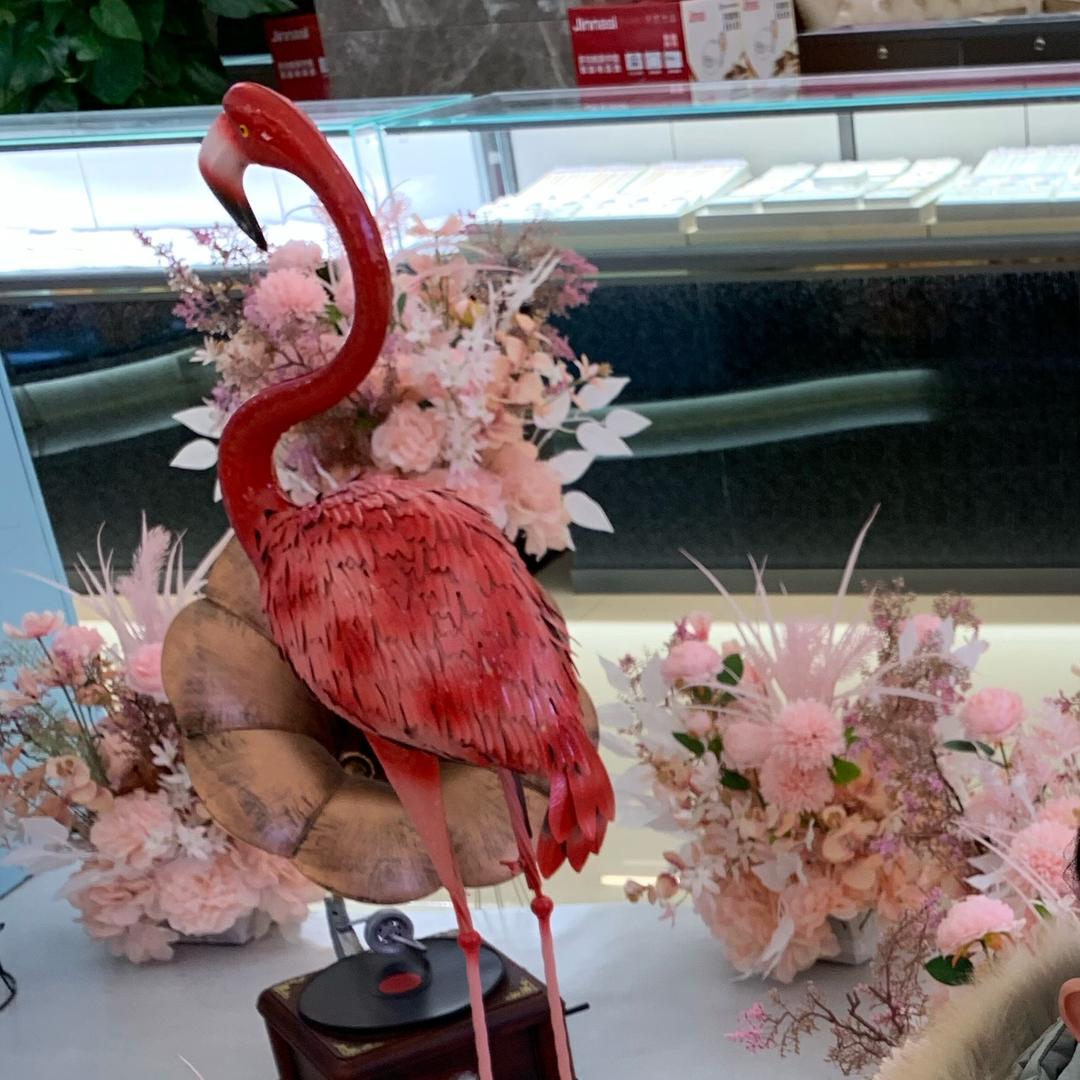 金梅