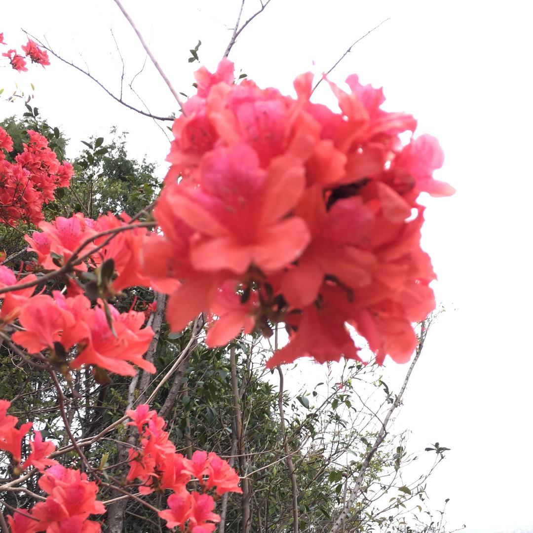 不想说太多，开心就好