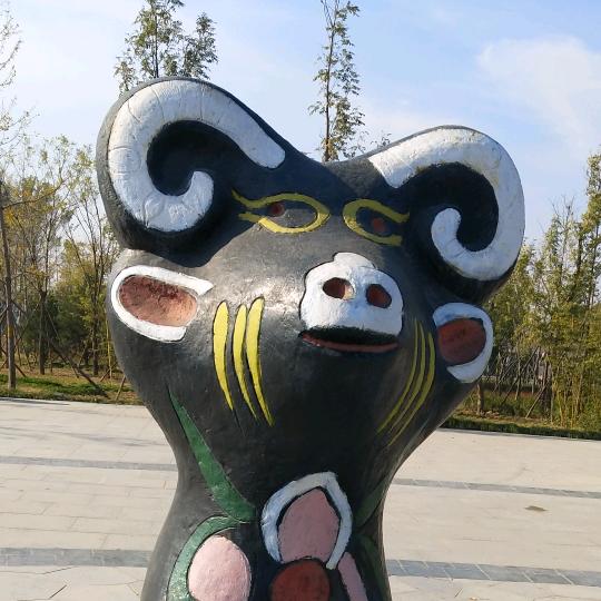 笨笨鸟