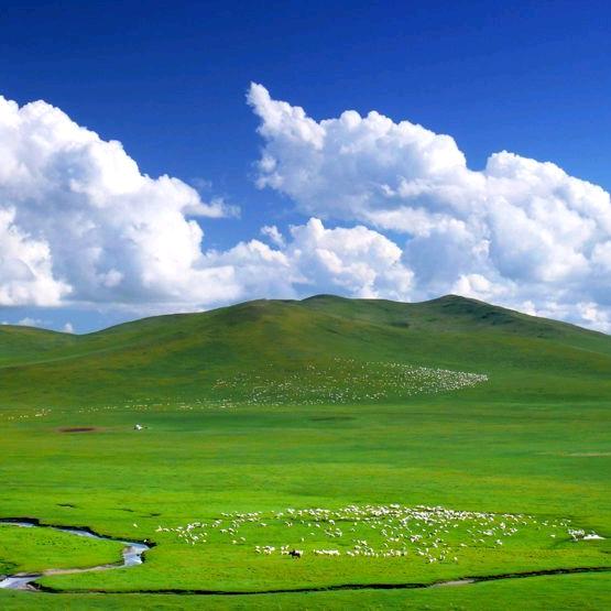 乌拉盖旅游定制～莹莹