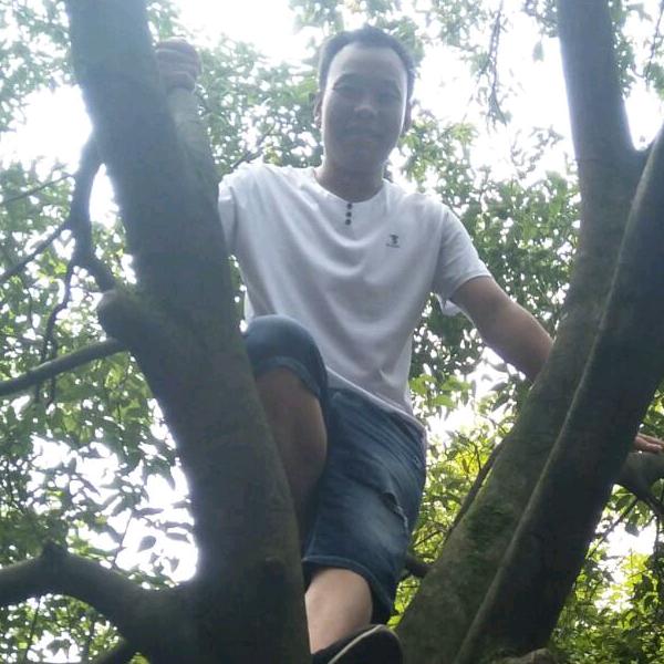 传兴