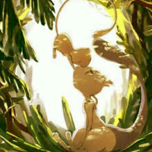 梦幻曾经的我