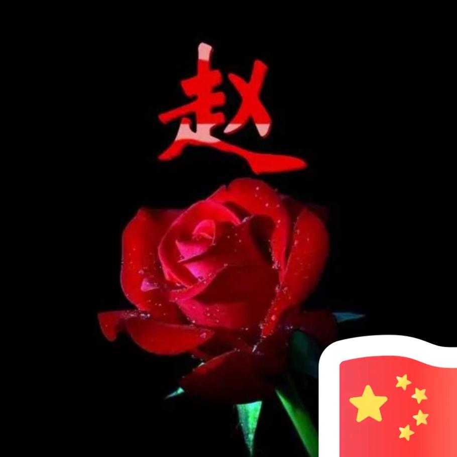 手写赵姐