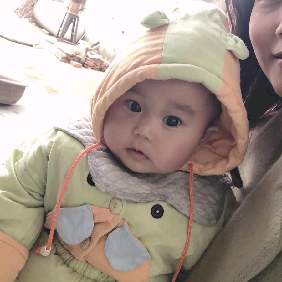 (*･´ω`･)っ小豬寶寶