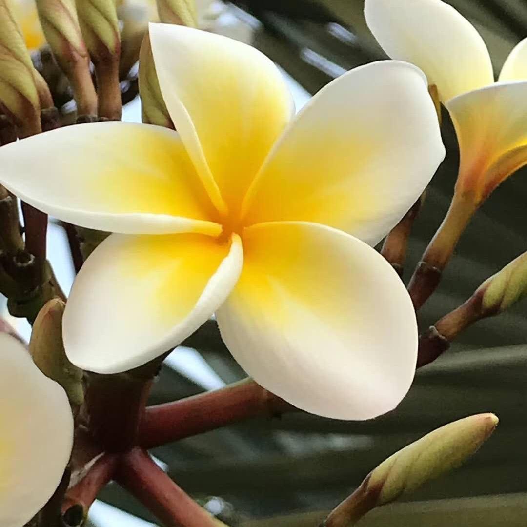 东东🌈