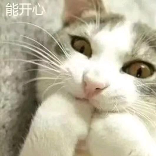 没想再动情