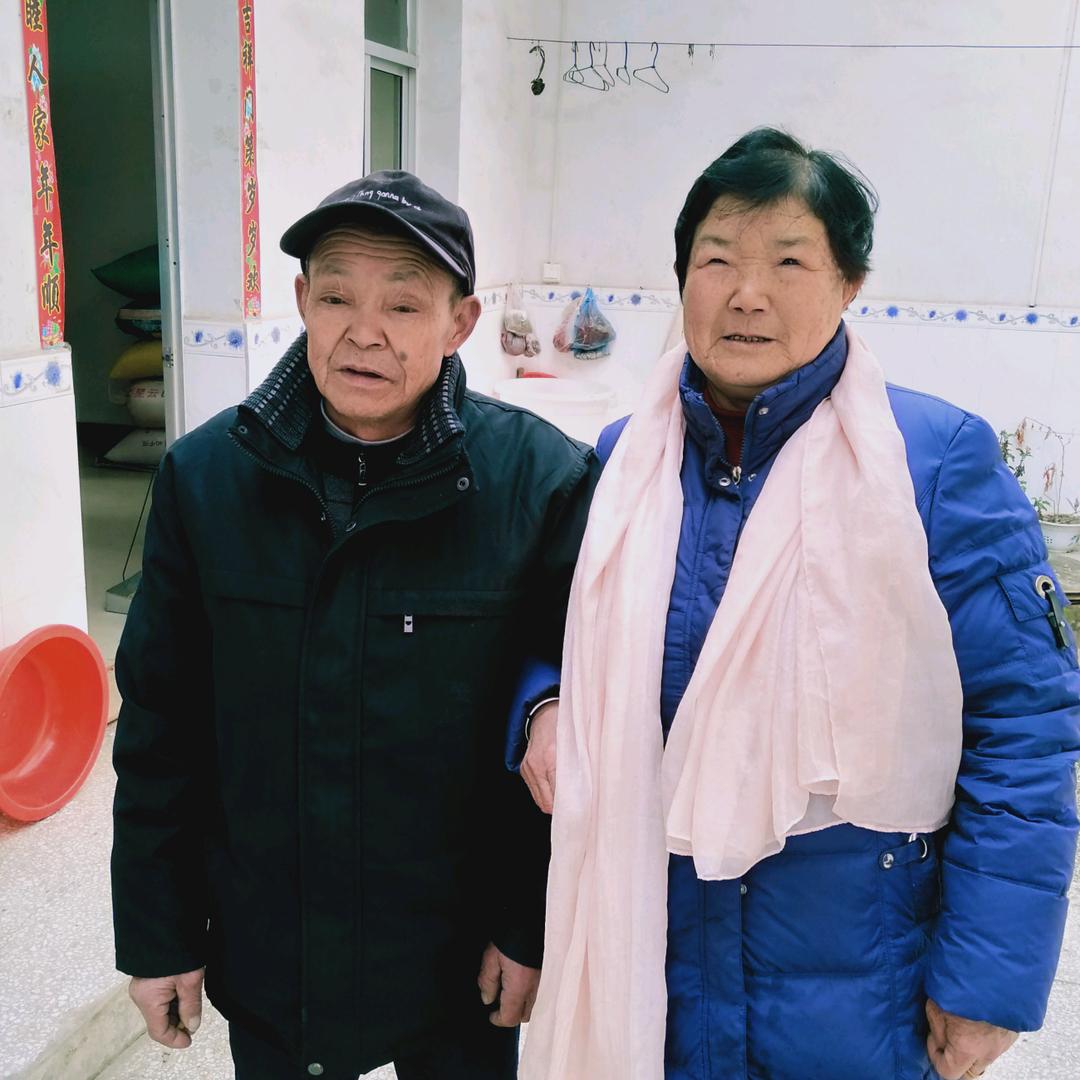 陈凤