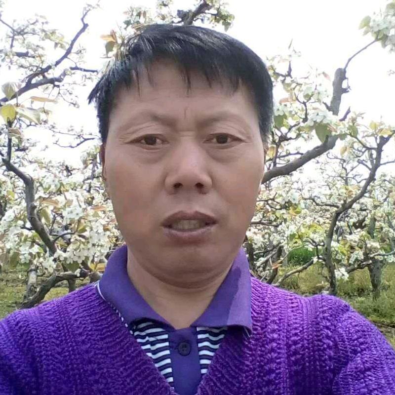 依然爱你，仙人掌