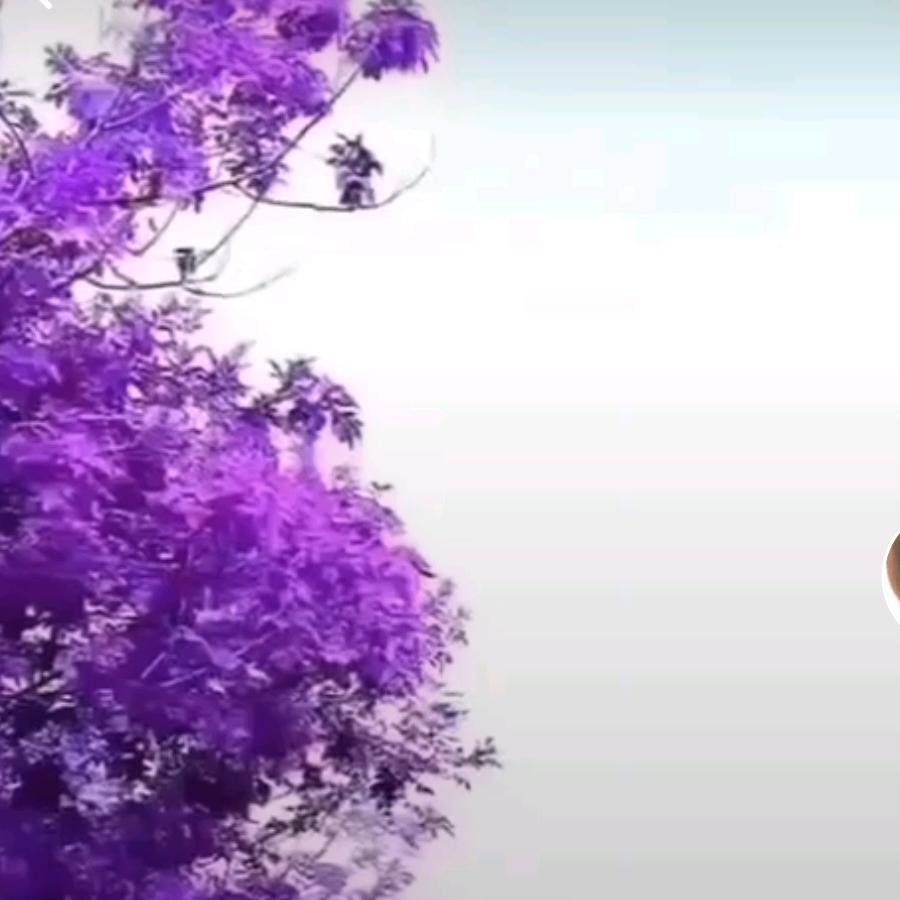 轻轻放开手