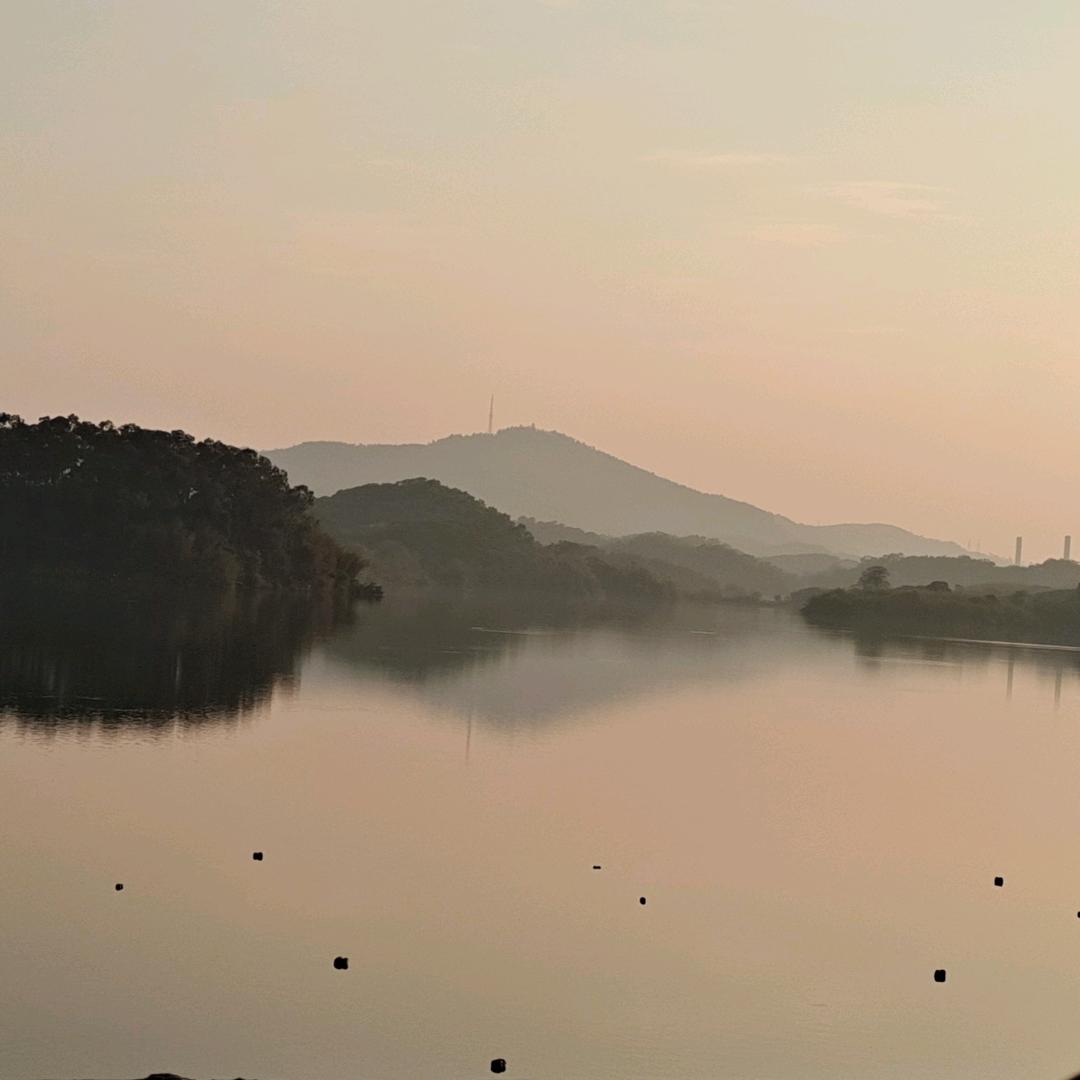大象驾到东莞东众驾校