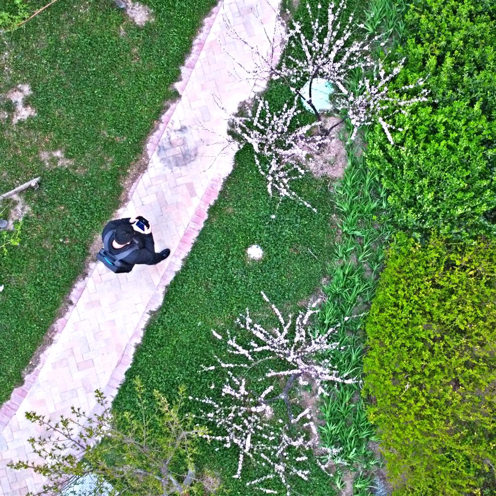 晗昕爱摄影📷
