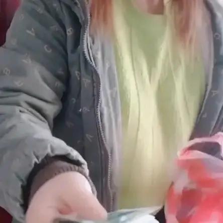 长青树