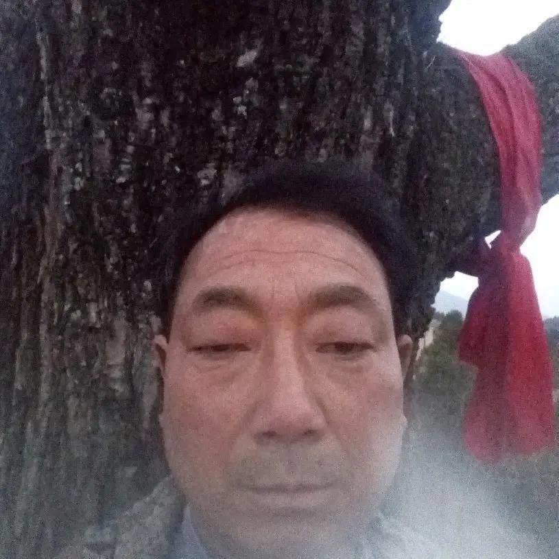 春天的雨