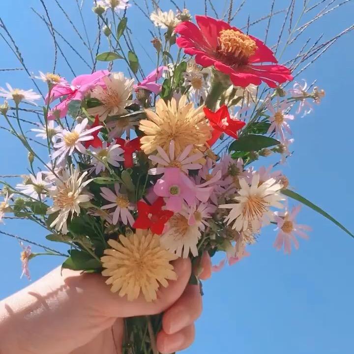 苦思甜