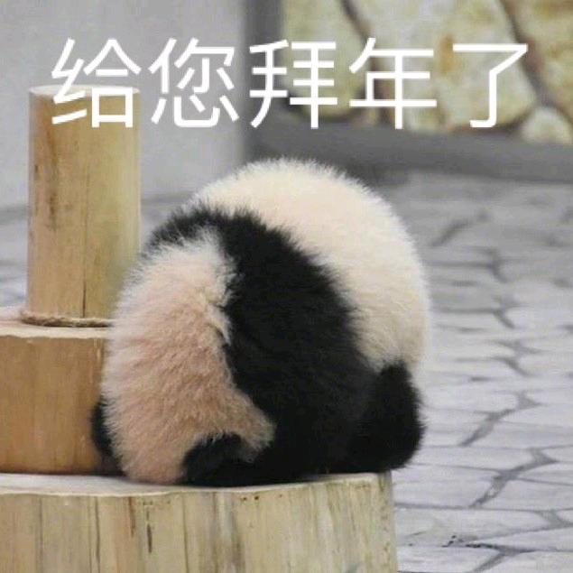 稿子