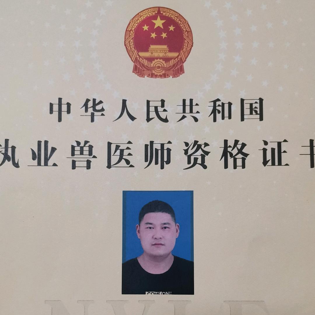 执业兽医师赵庆卫
