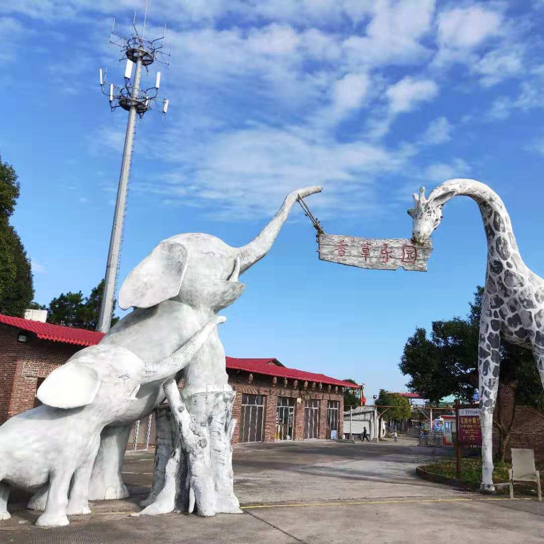 @强哥