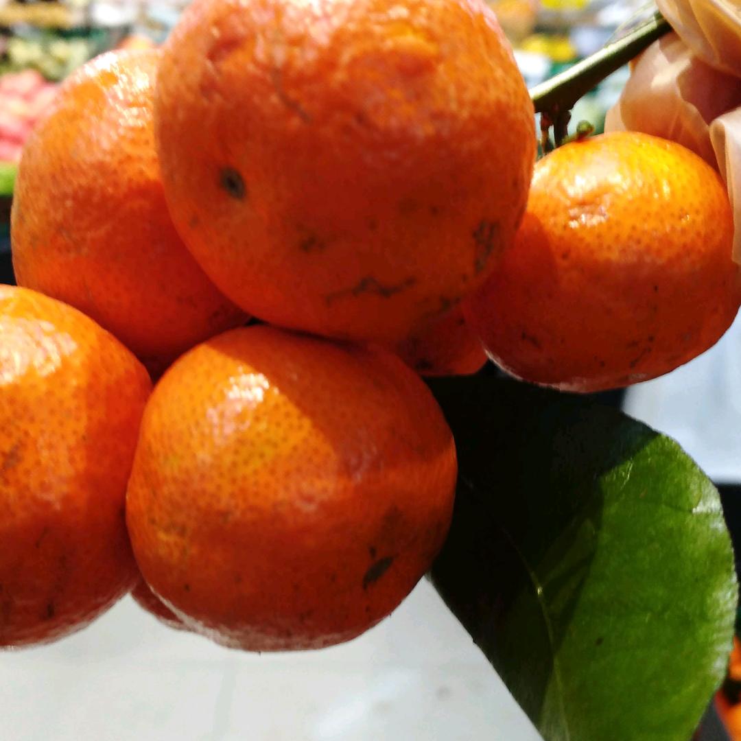 忘记背后，努力面前