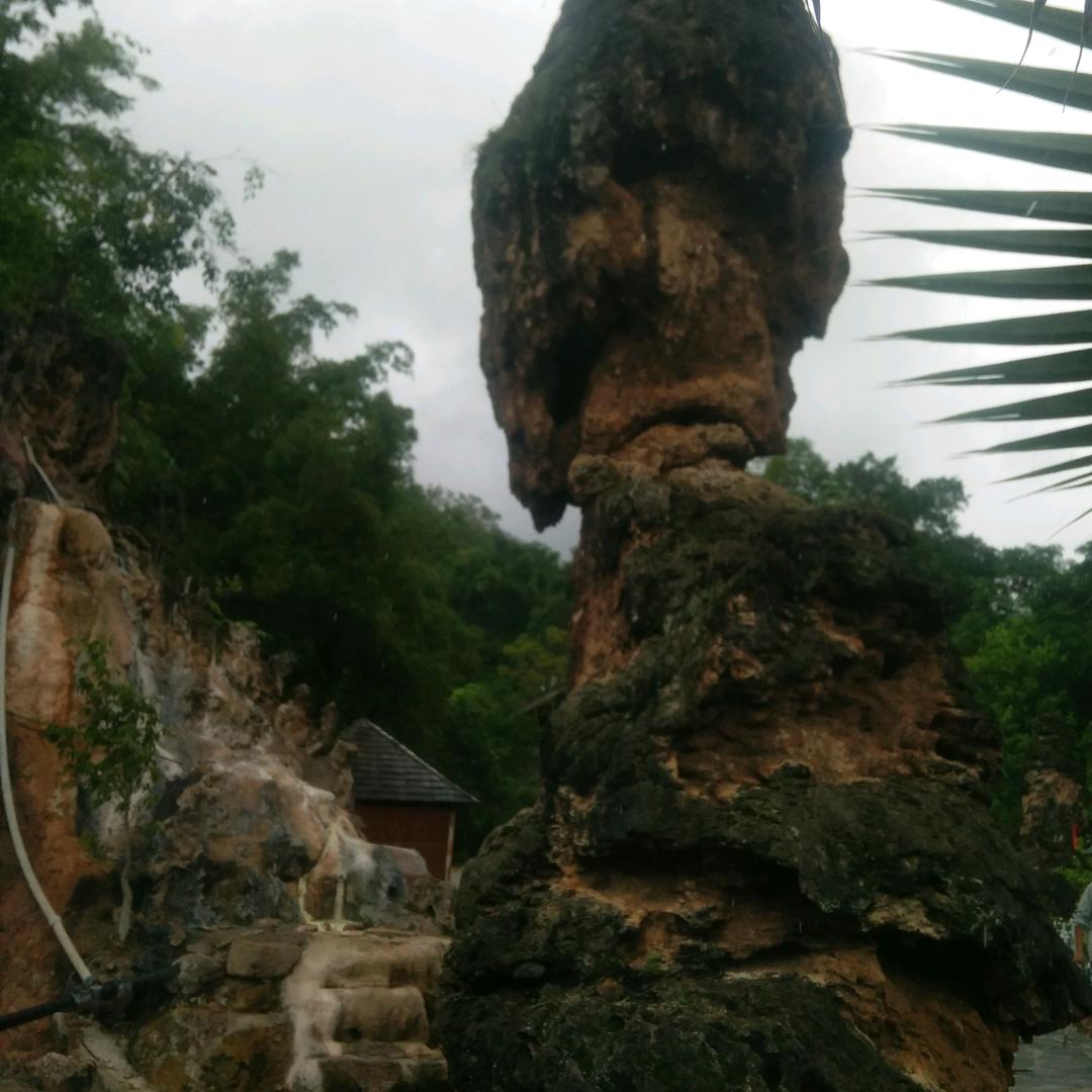珍惜拥有🌺