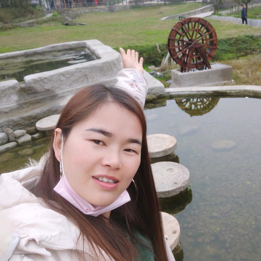 叶子(纯手工苕粉)