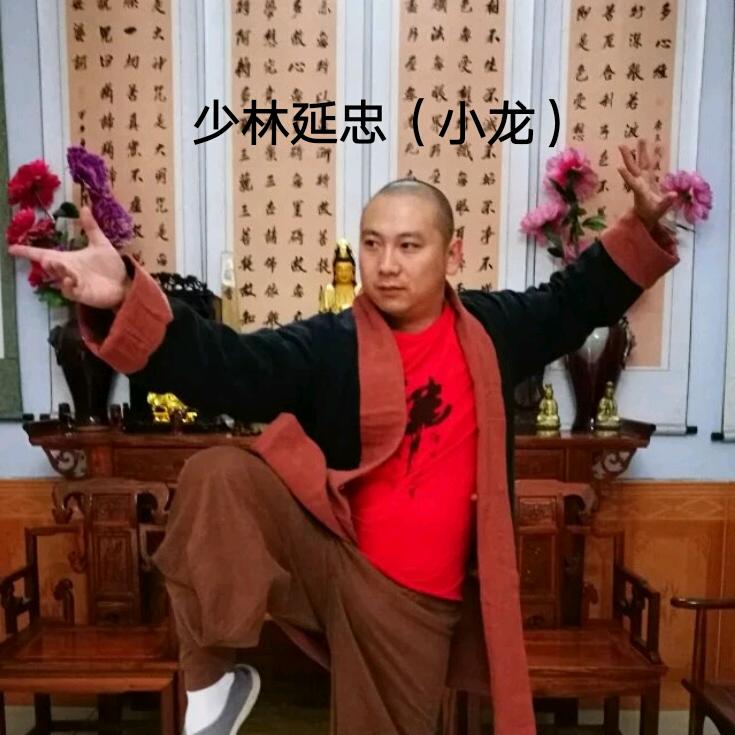 龙腾少林