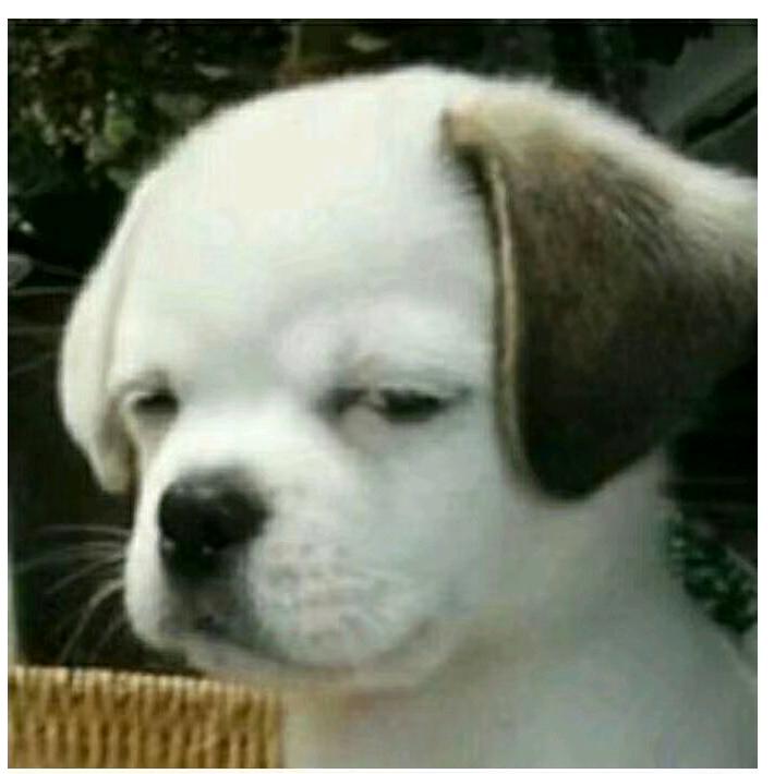 不悔入华~夏~先生