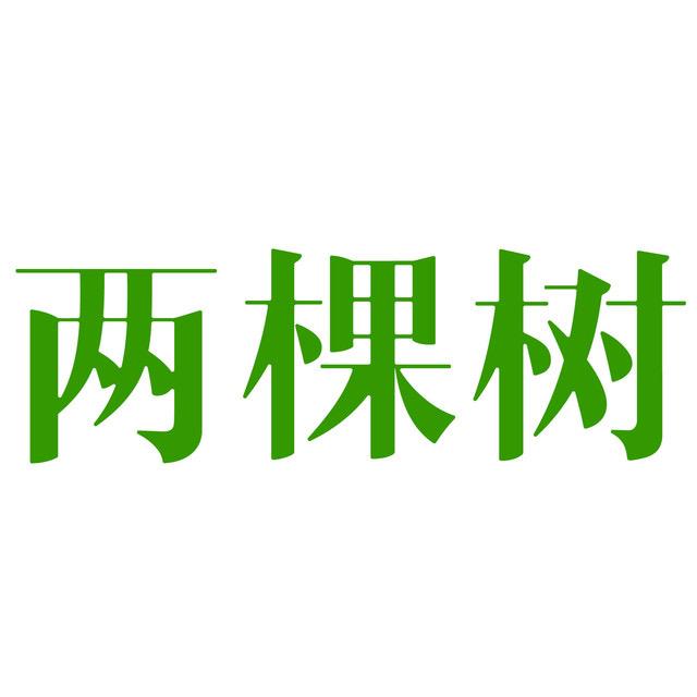 两棵树🚀