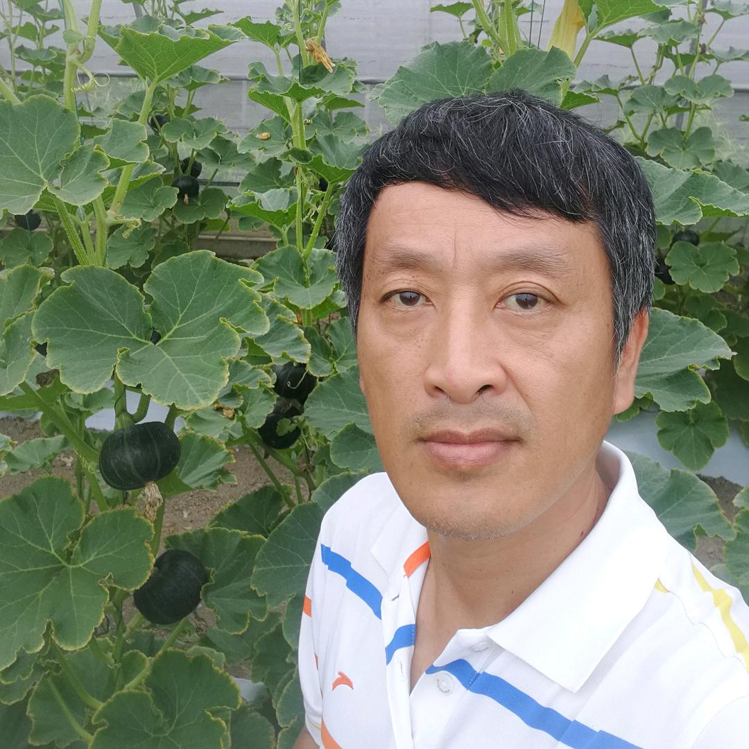 米伯城市微农场
