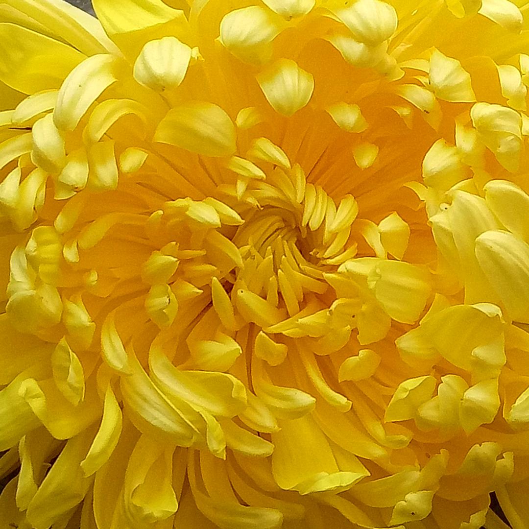 相遇即是缘（拒私拒连赞)