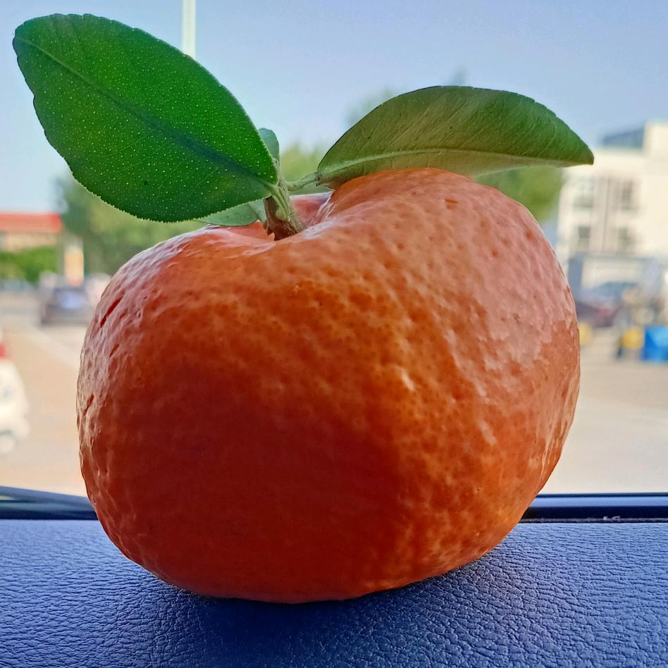 一定要幸福《拒绝私聊》