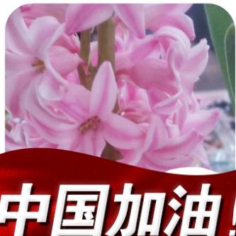 徐贵美