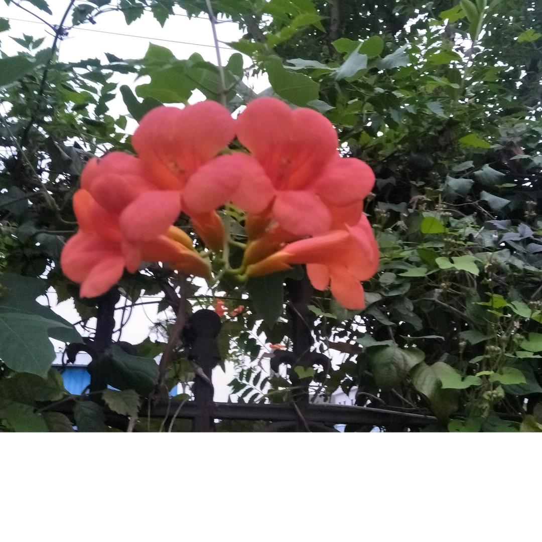 《幸福在哪里》