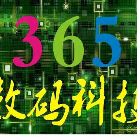 365数码科技