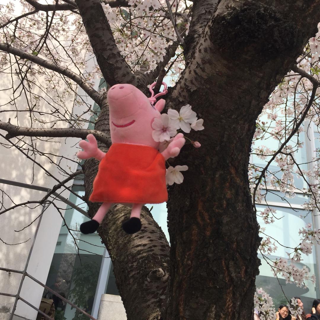灵动的渔