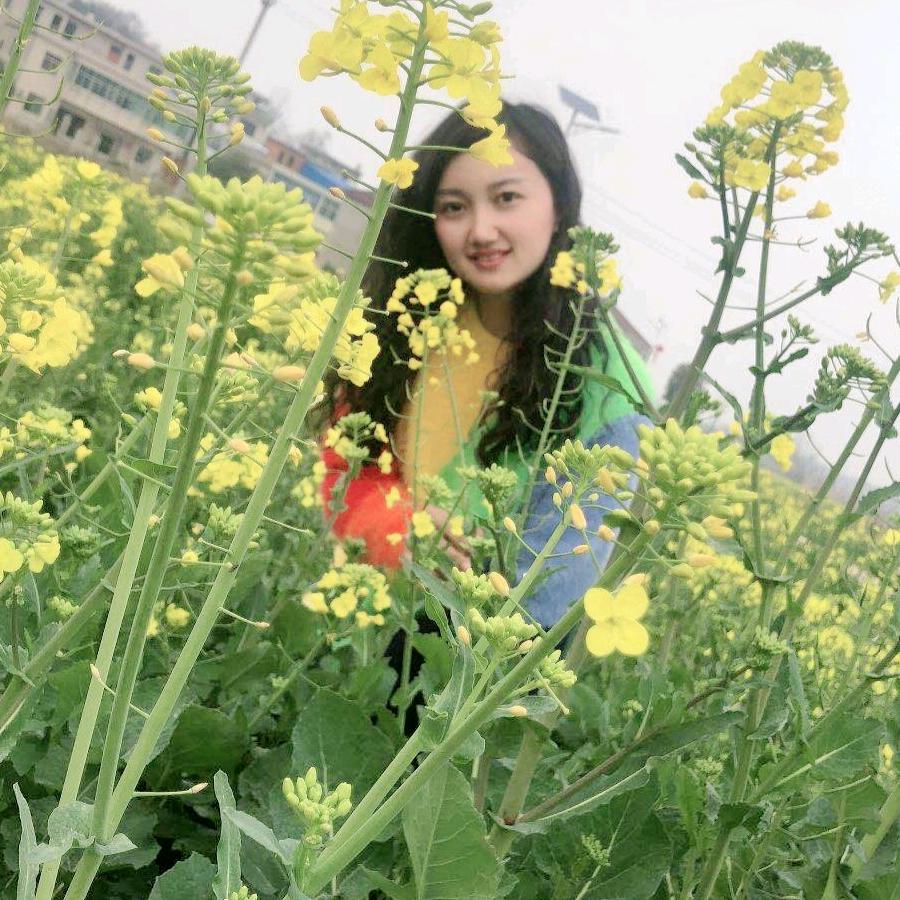 Qɪanᥫᩣ