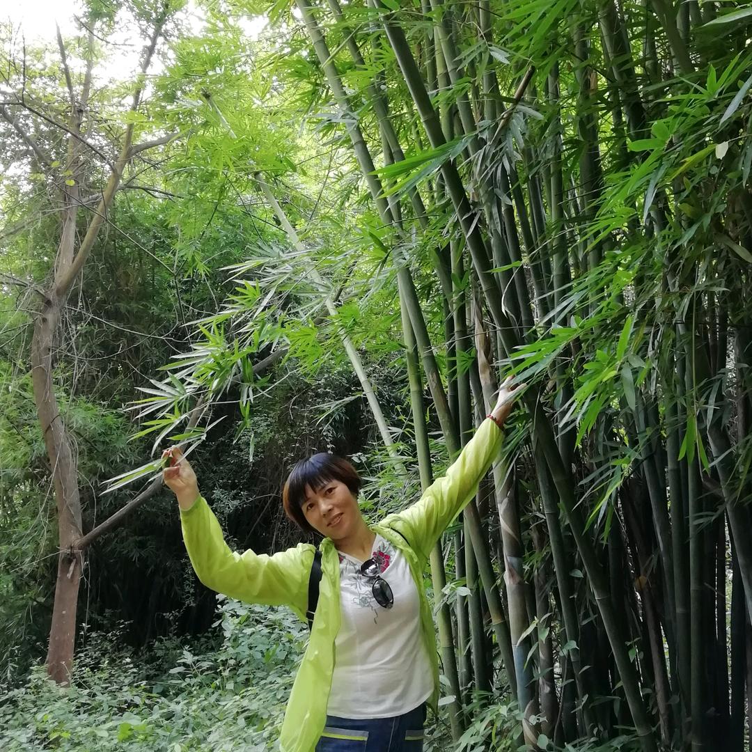 谭谈大自然地板