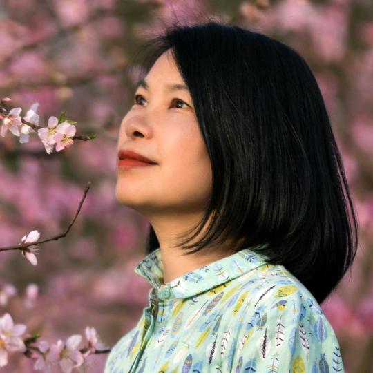 月移花影